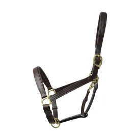 Coldstream Leather Padded Headcollar